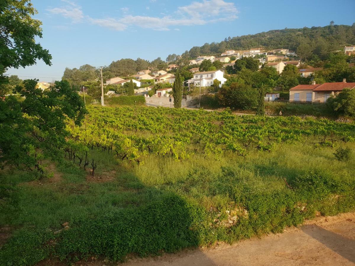Villa Marie - Provence Cote D'Azur Cabasse Eksteriør bilde